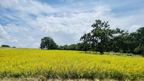 1037 Gonzollas Road Springtown TX 76082