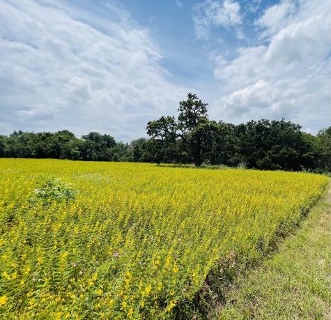 1037 Gonzollas Road Springtown TX 76082