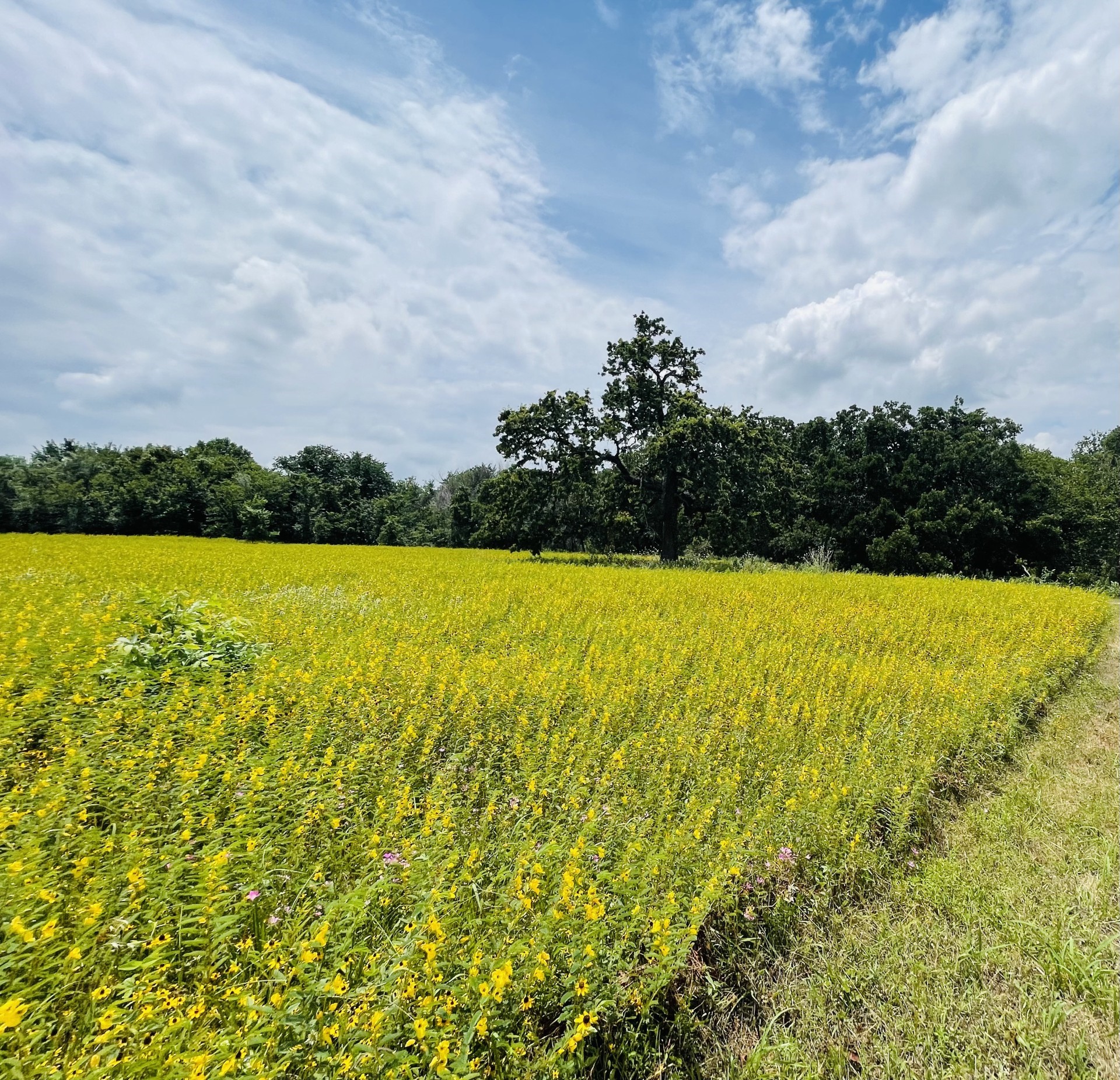 1037 Gonzollas Road Springtown TX 76082