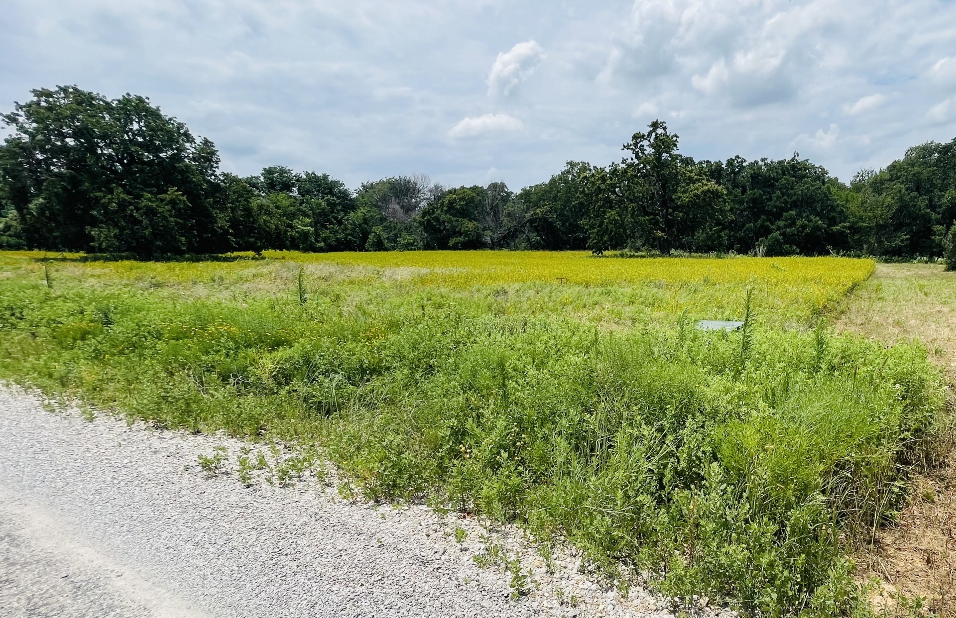 1037 Gonzollas Road Springtown TX 76082