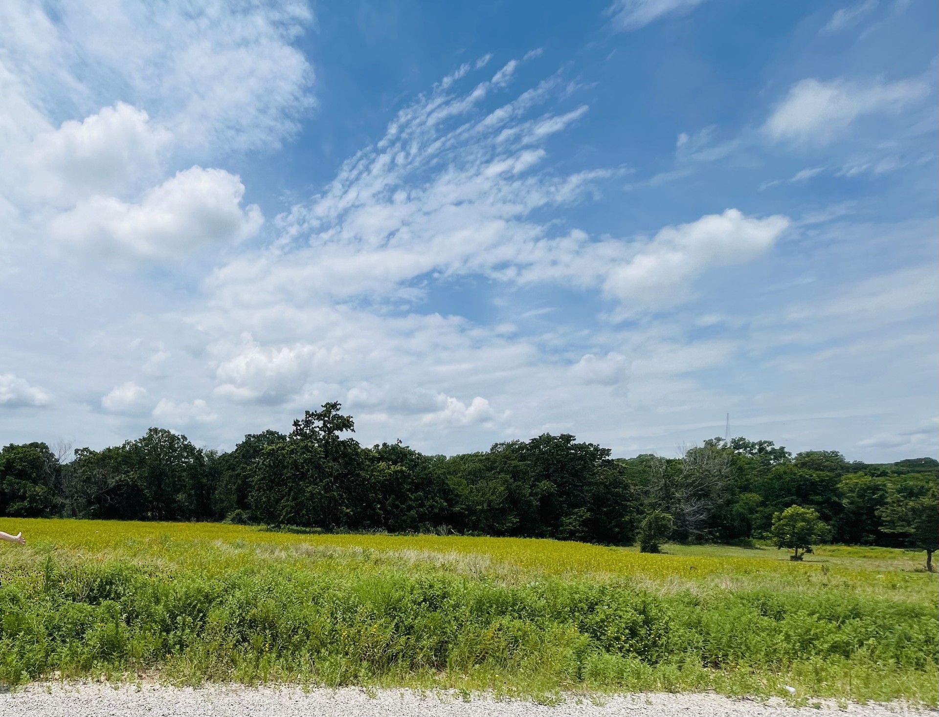 1037 Gonzollas Road Springtown TX 76082
