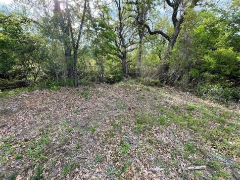 1037 Gonzollas Road Springtown TX 76082