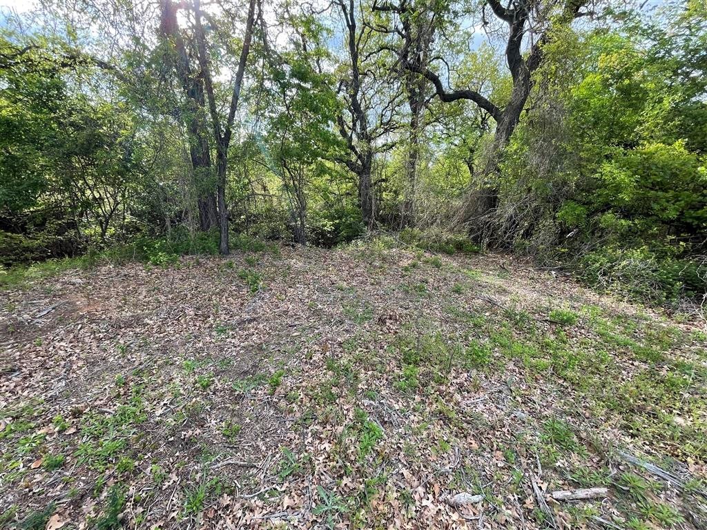 1037 Gonzollas Road Springtown TX 76082