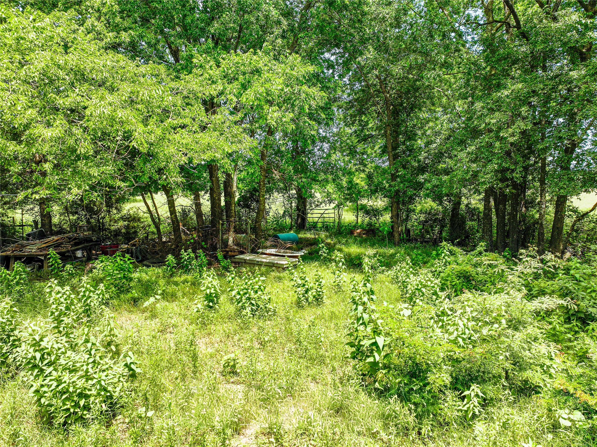 7008 Cr-1019 Celeste TX 75496