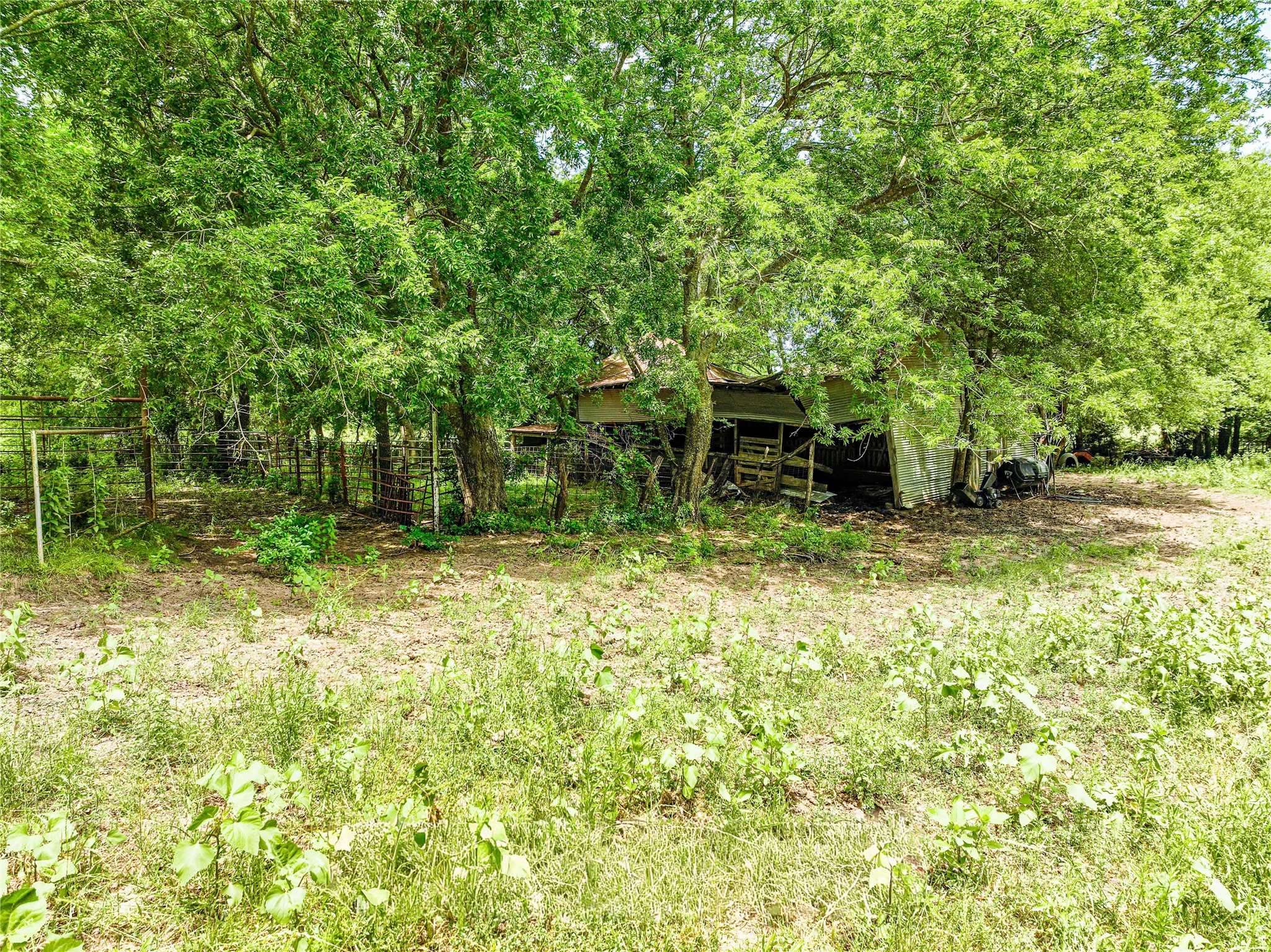 7008 Cr-1019 Celeste TX 75496
