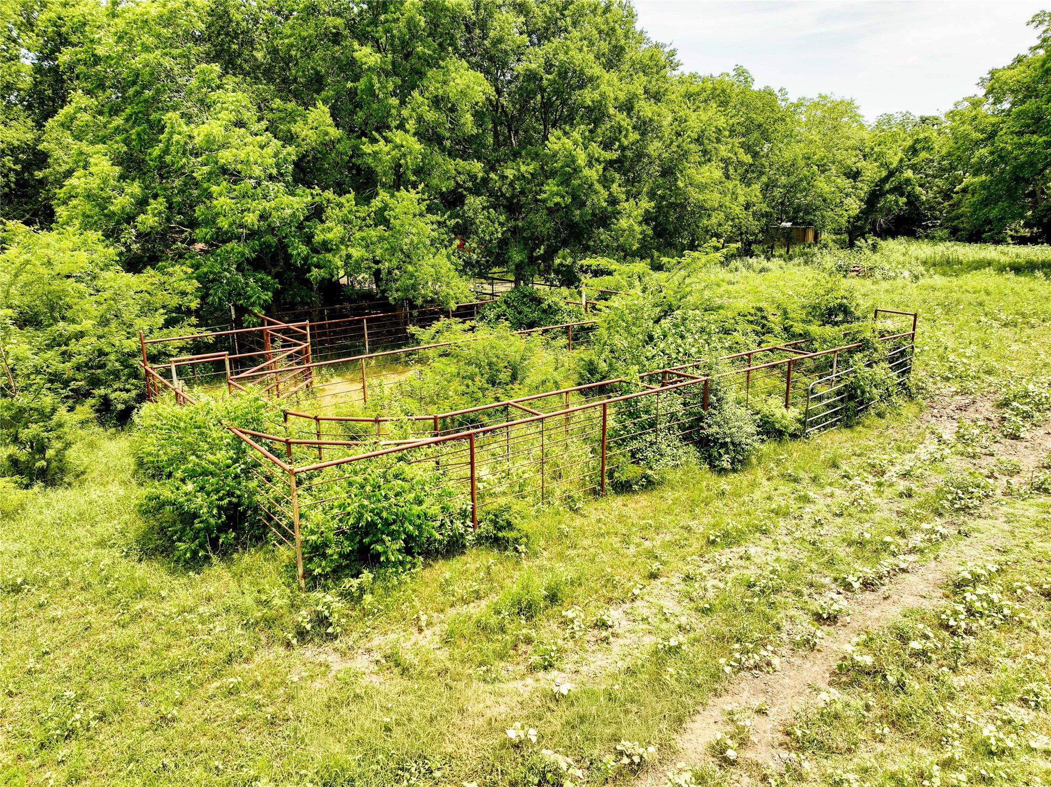 7008 Cr-1019 Celeste TX 75496