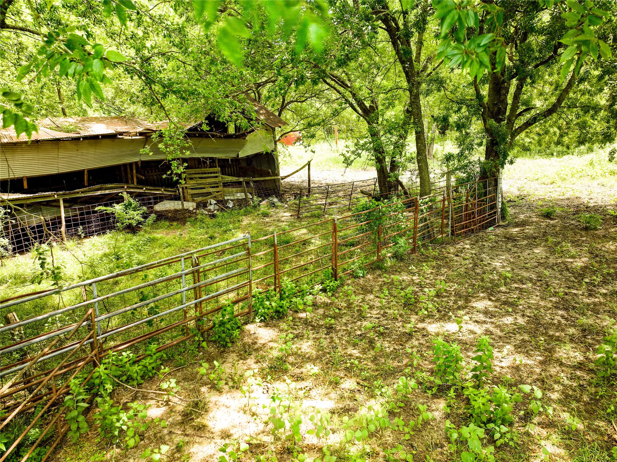 7008 Cr-1019 Celeste TX 75496