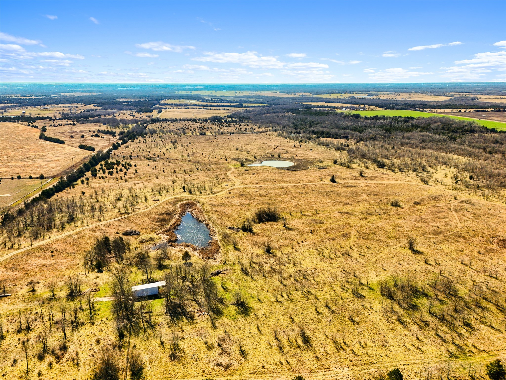 26100 County Road Honey Grove TX 75446