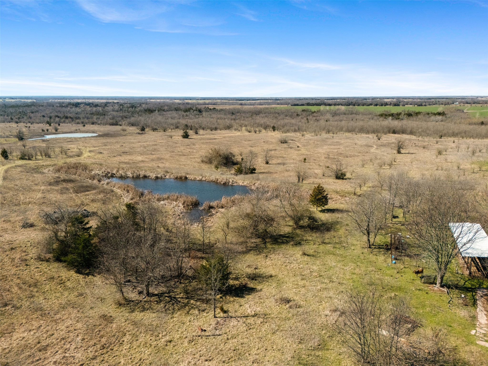 26100 County Road Honey Grove TX 75446