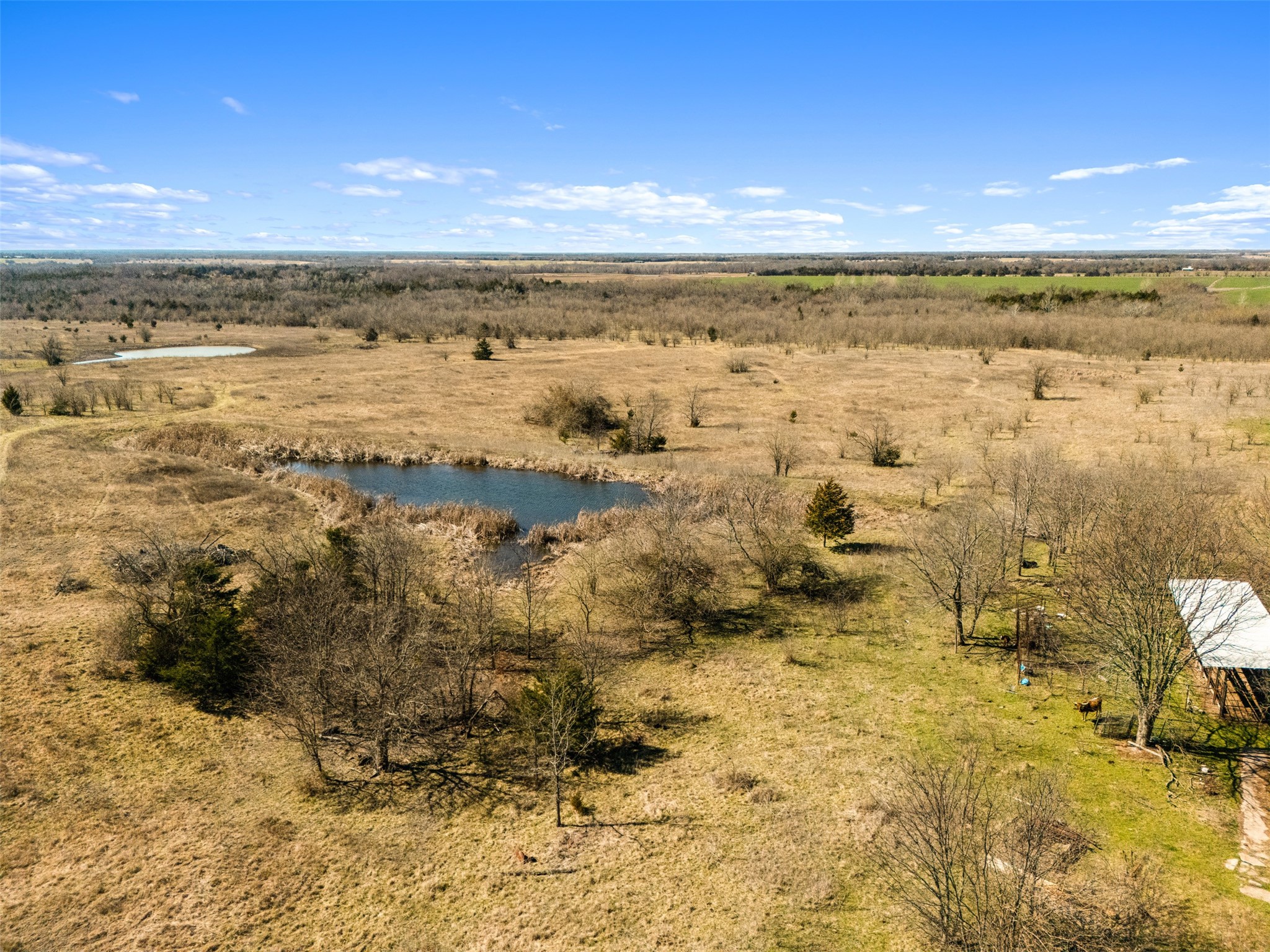 26100 County Road Honey Grove TX 75446