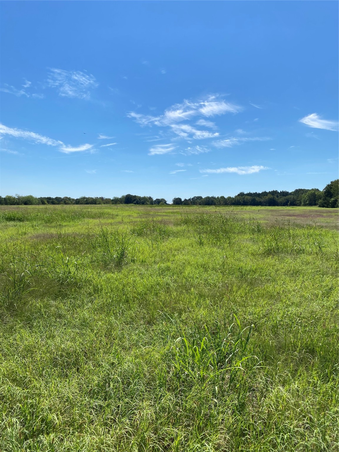 Lot 17 County Road 1126 Cumby TX 75433