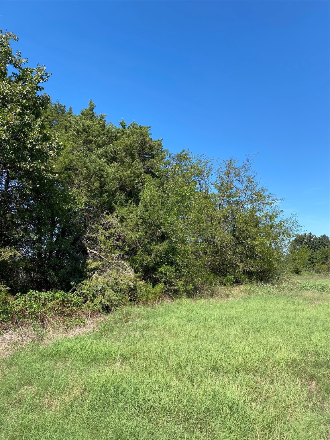 Lot 17 County Road 1126 Cumby TX 75433