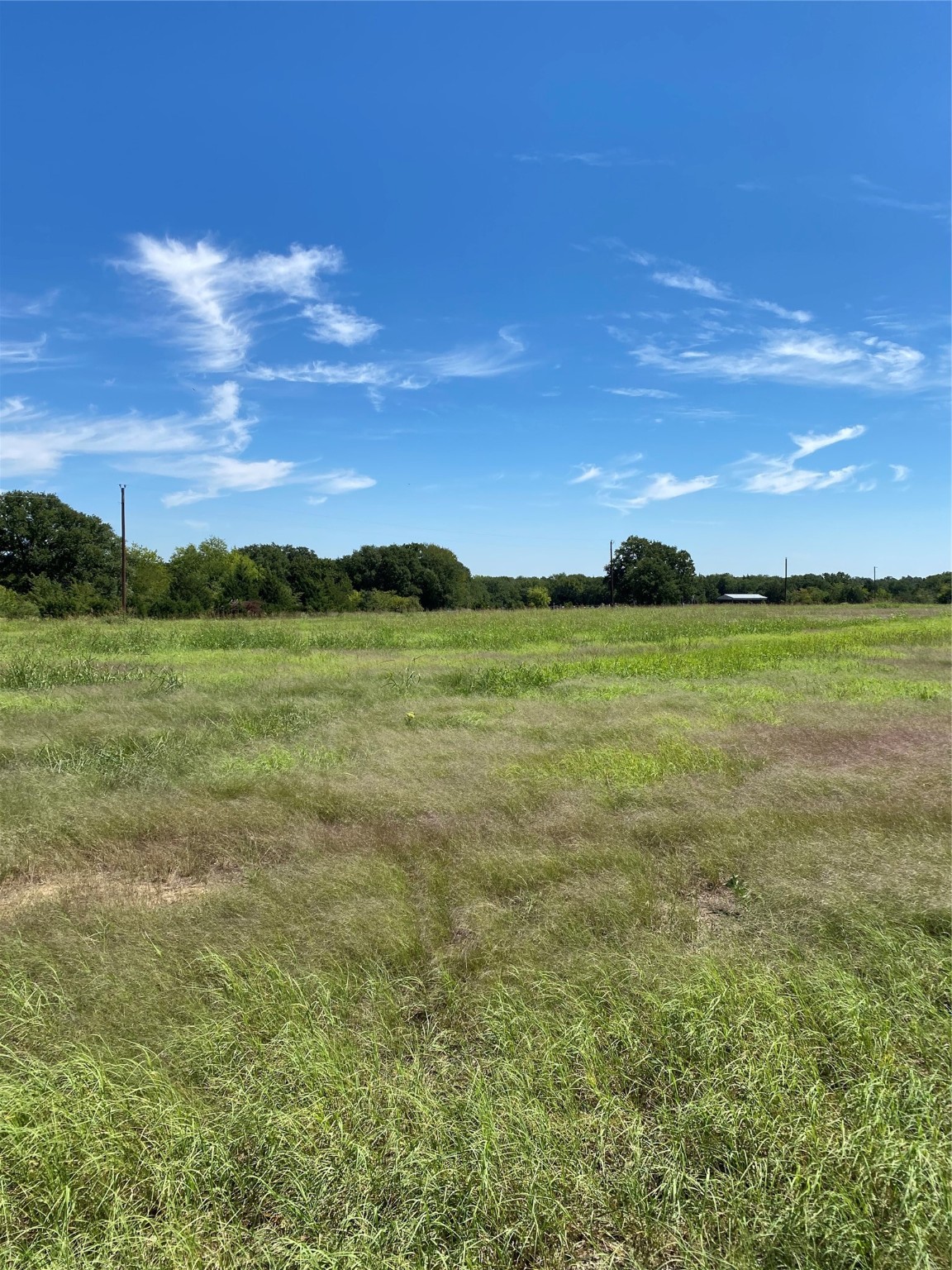 Lot 17 County Road 1126 Cumby TX 75433