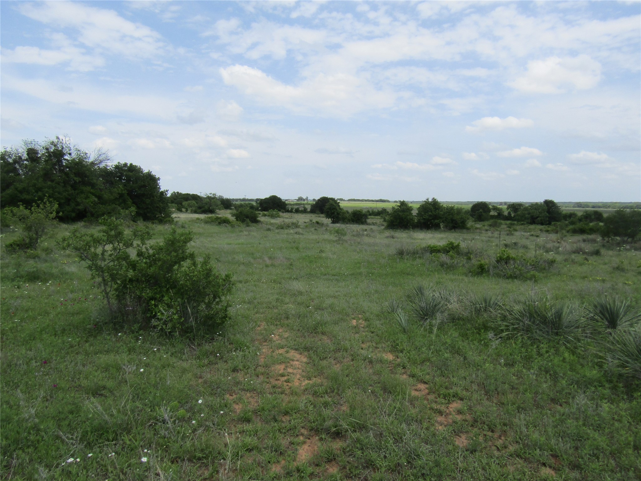 Tbd County Road 268, Tract A Rising Star TX 76471