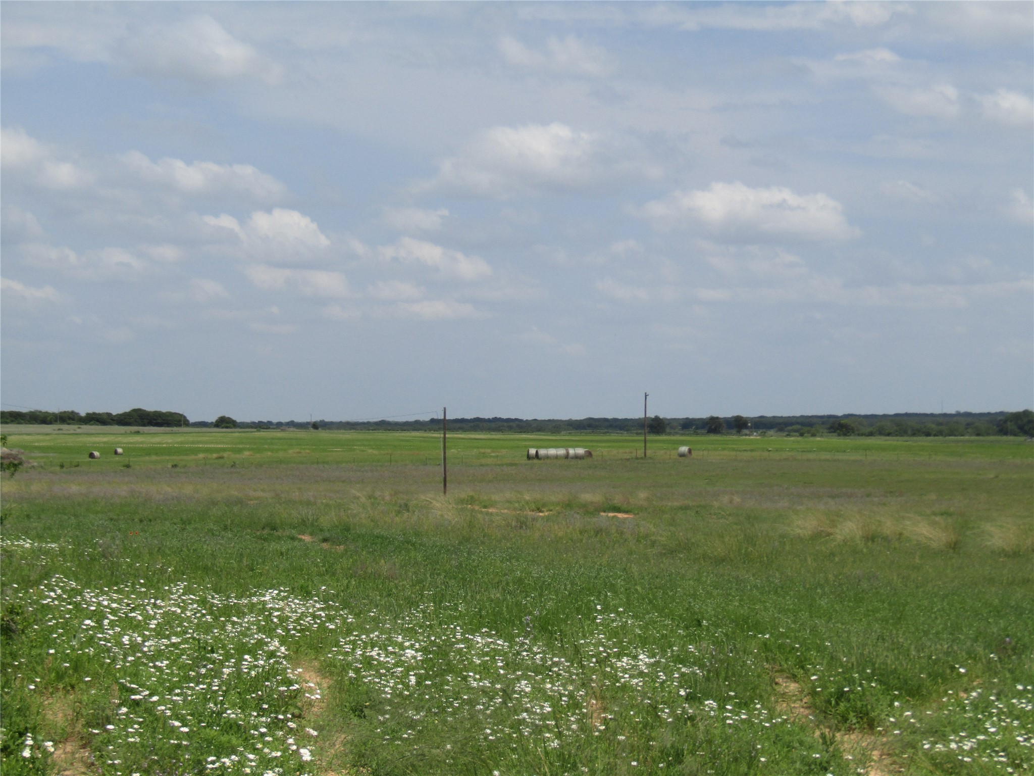 Tbd County Road 268, Tract A Rising Star TX 76471
