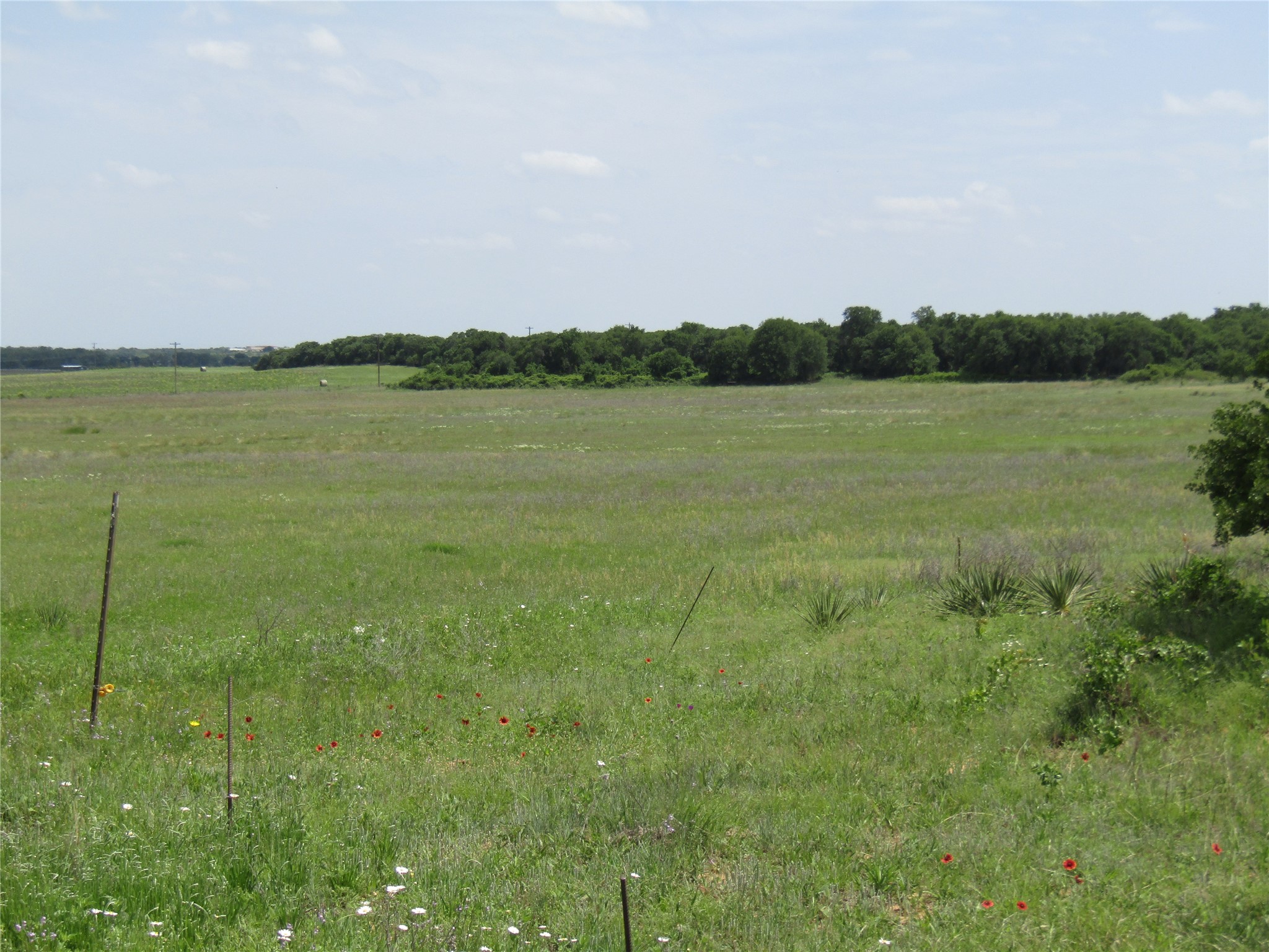 Tbd County Road 268, Tract A Rising Star TX 76471