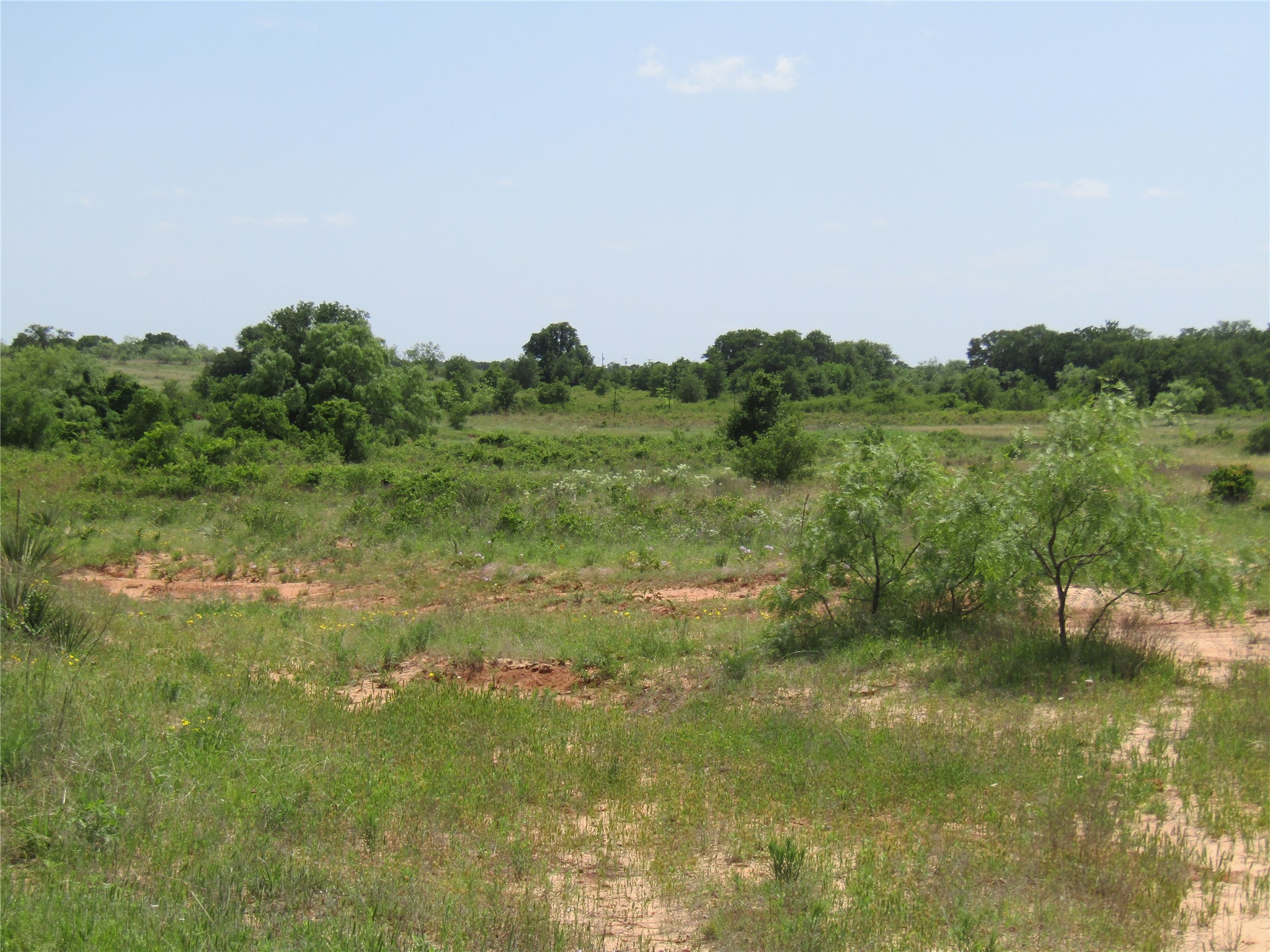 Tbd County Road 268, Tract A Rising Star TX 76471