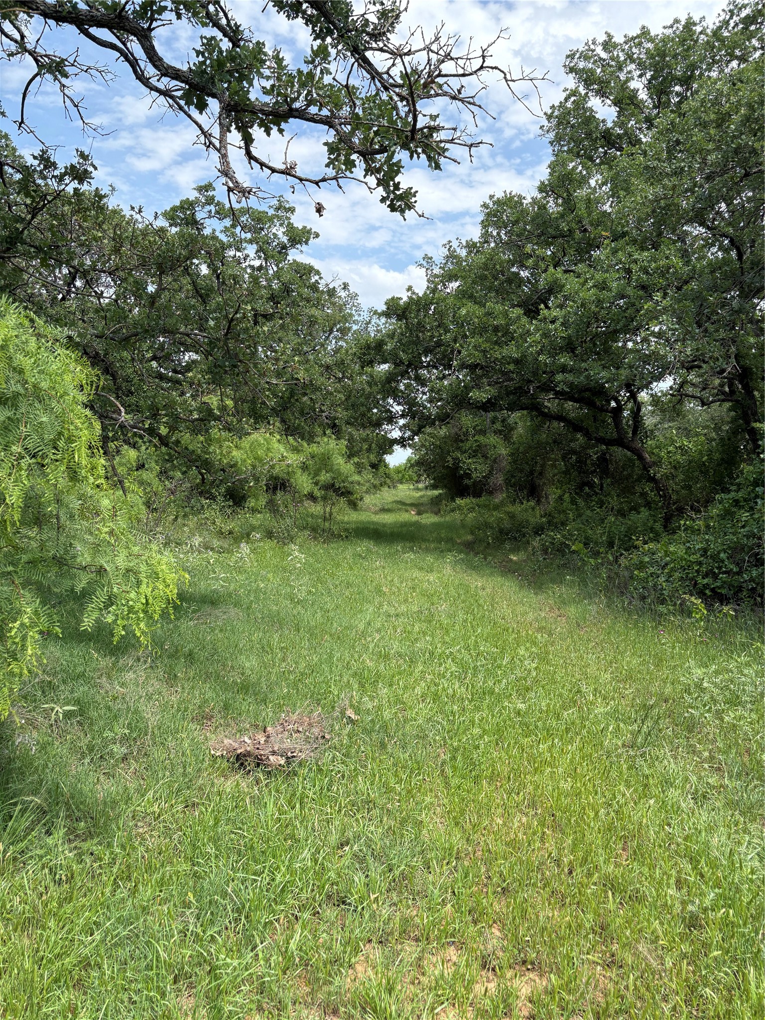 Tbd County Road 268, Tract A Rising Star TX 76471