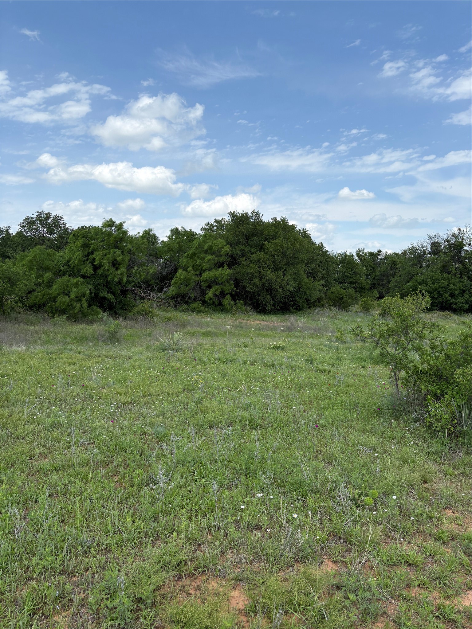Tbd County Road 268, Tract A Rising Star TX 76471