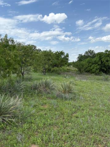 Tbd County Road 268, Tract A Rising Star TX 76471