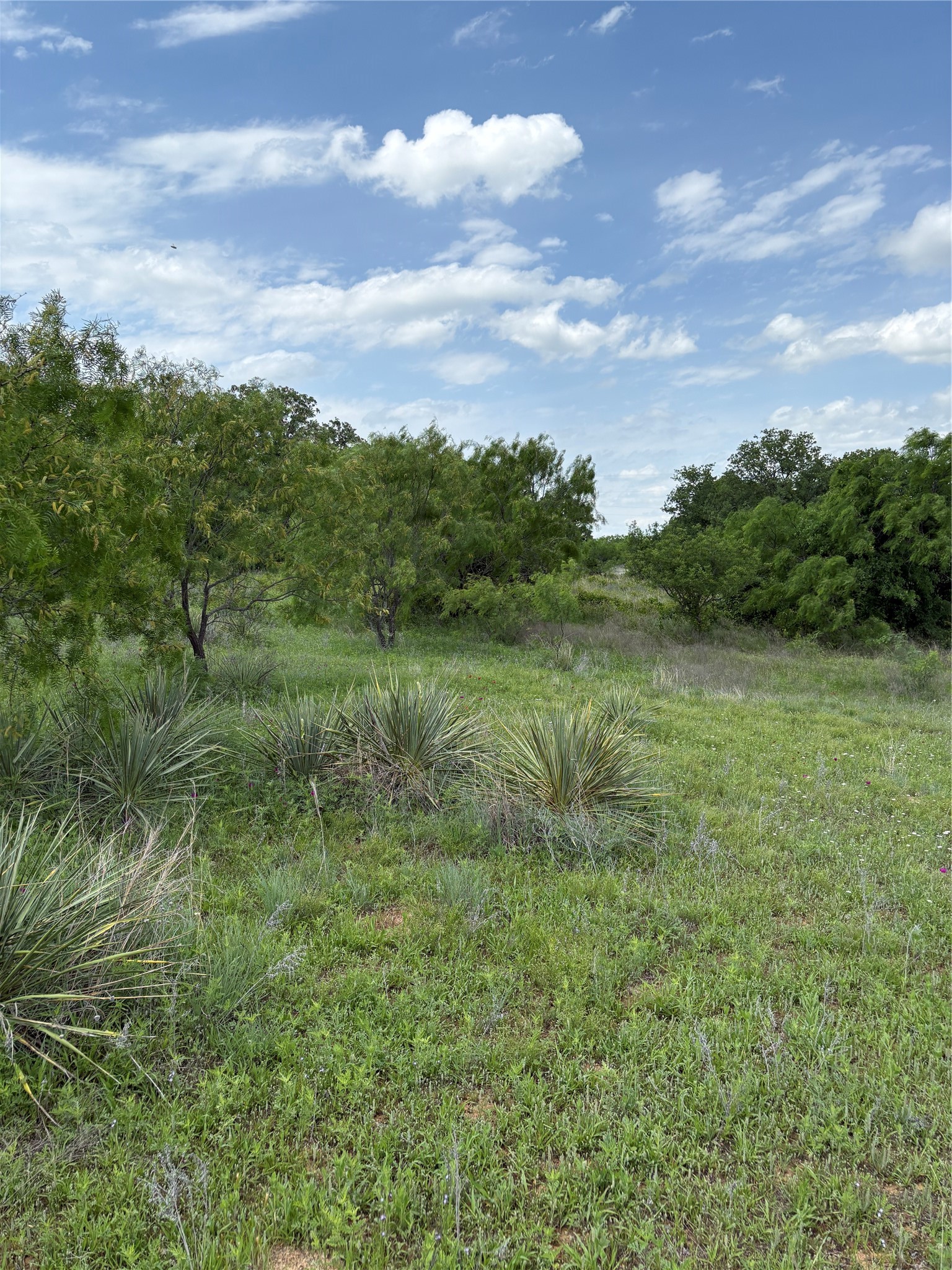 Tbd County Road 268, Tract A Rising Star TX 76471