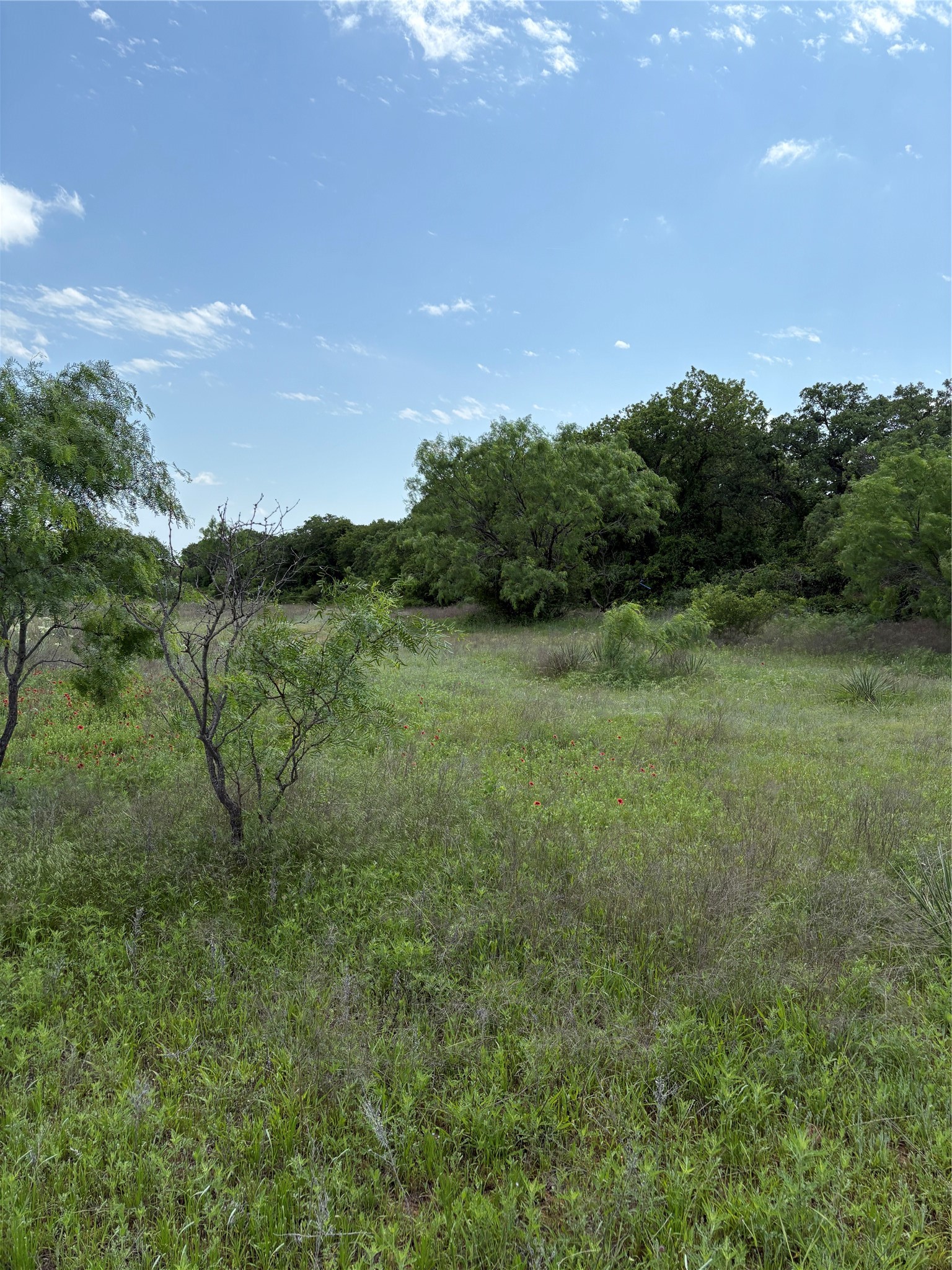 Tbd County Road 268, Tract A Rising Star TX 76471