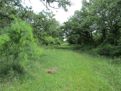 Tbd County Road 268, Tract A Rising Star TX 76471