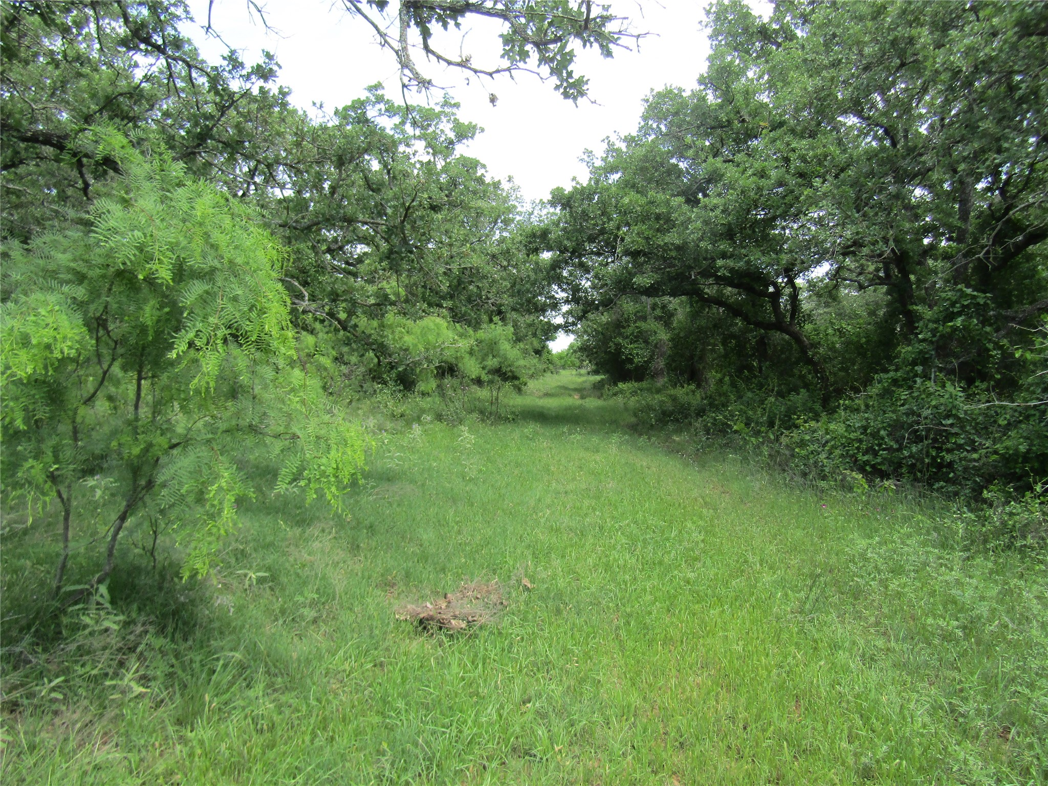 Tbd County Road 268, Tract A Rising Star TX 76471