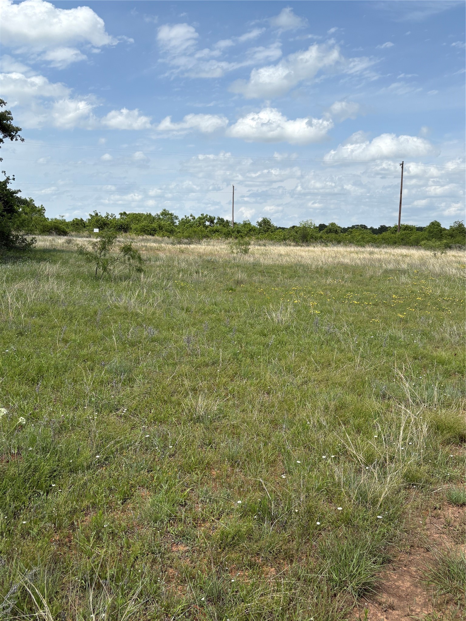 Tbd County Road 268, Tract A Rising Star TX 76471