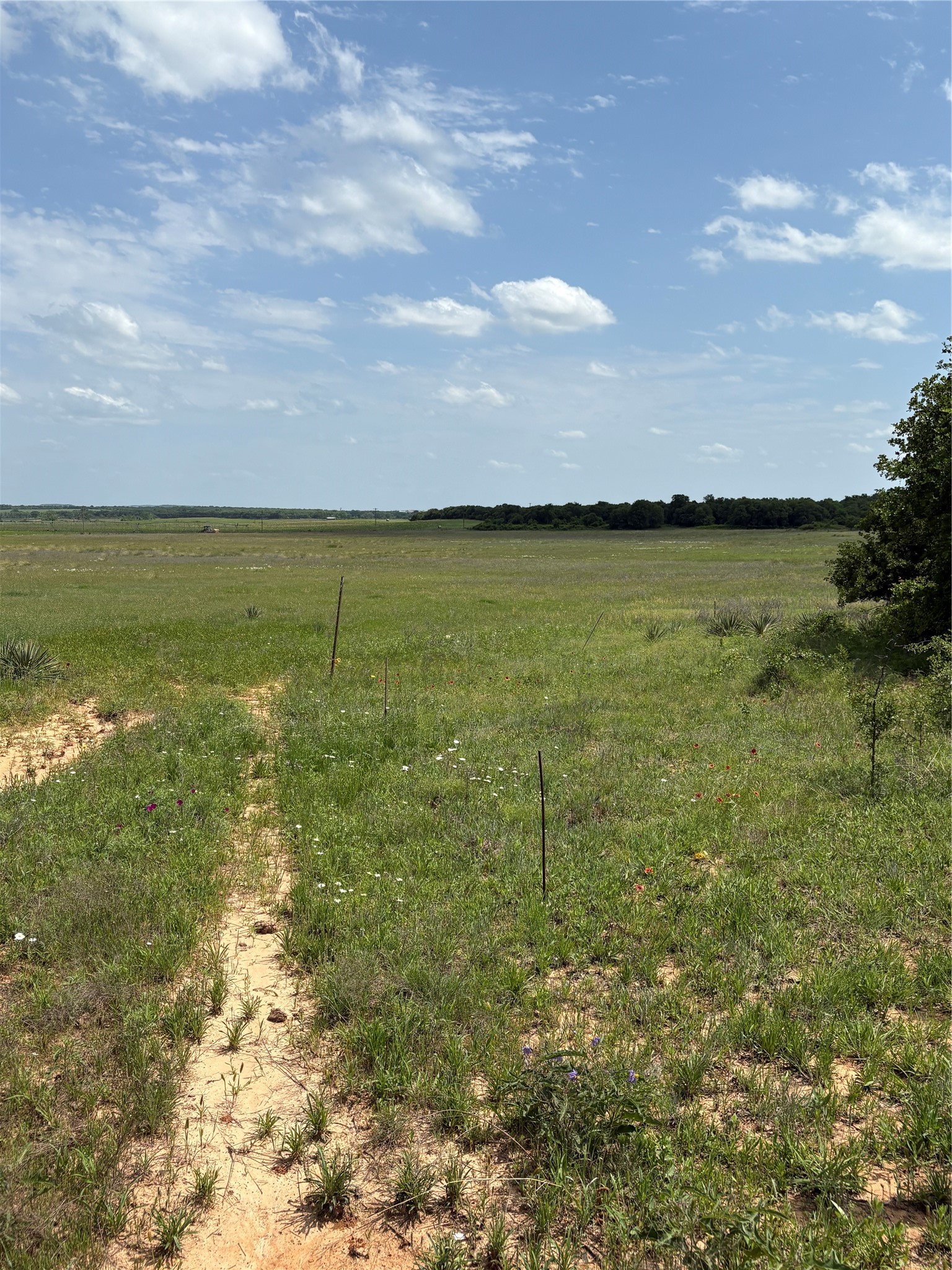 Tbd County Road 268, Tract A Rising Star TX 76471