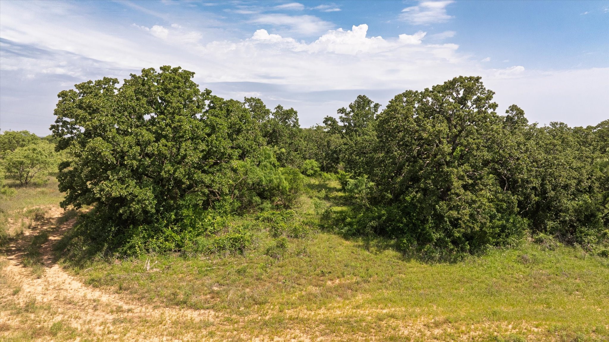 Tbd County Road 268, Tract A Rising Star TX 76471