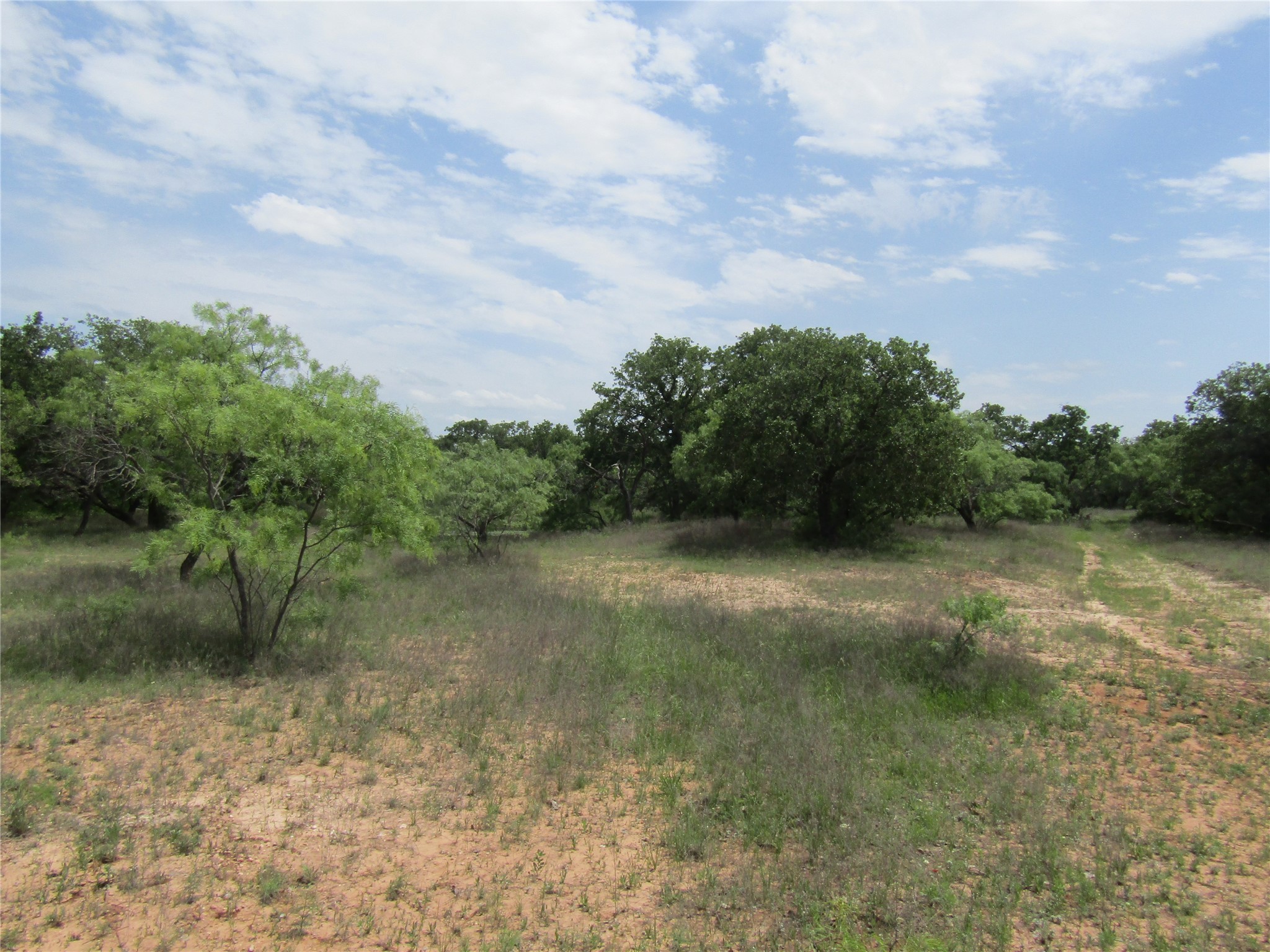 Tbd County Road 268, Tract A Rising Star TX 76471
