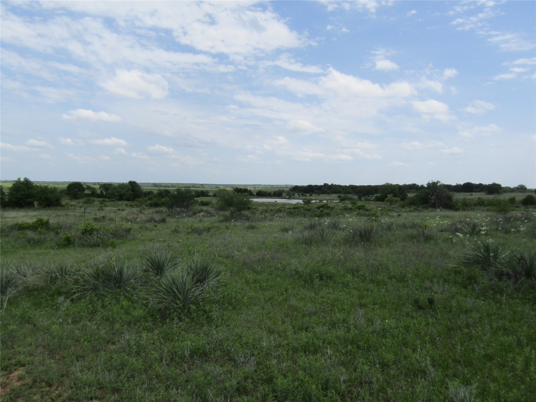 Tbd County Road 268, Tract A Rising Star TX 76471