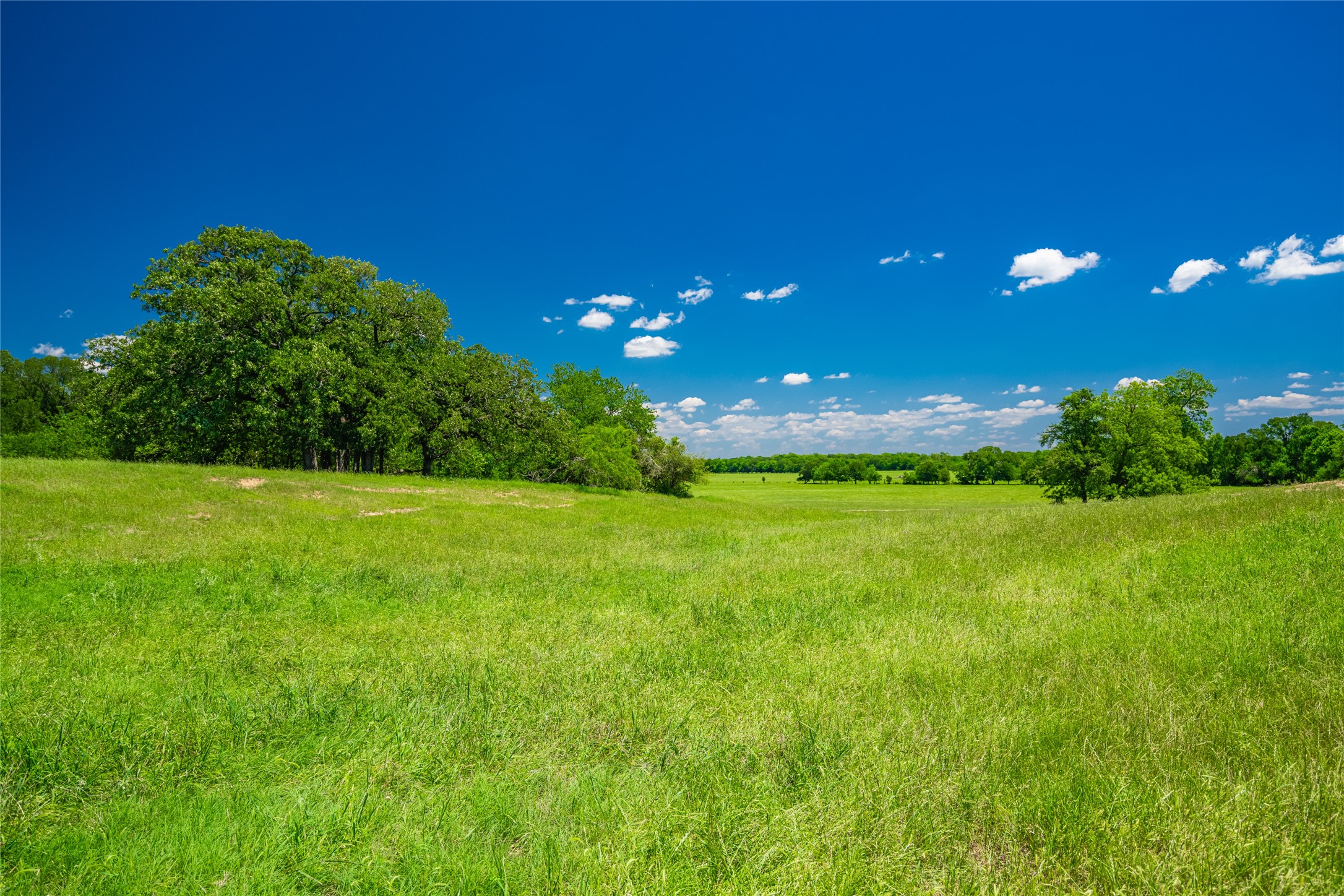 0 Lcr 412 Groesbeck TX 76642