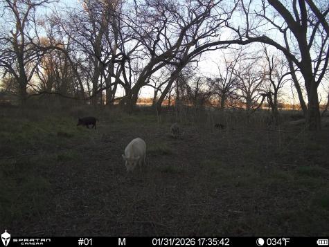 0 Lcr 412 Groesbeck TX 76642