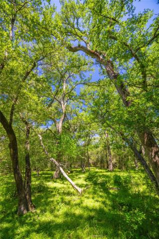 0 Lcr 412 Groesbeck TX 76642
