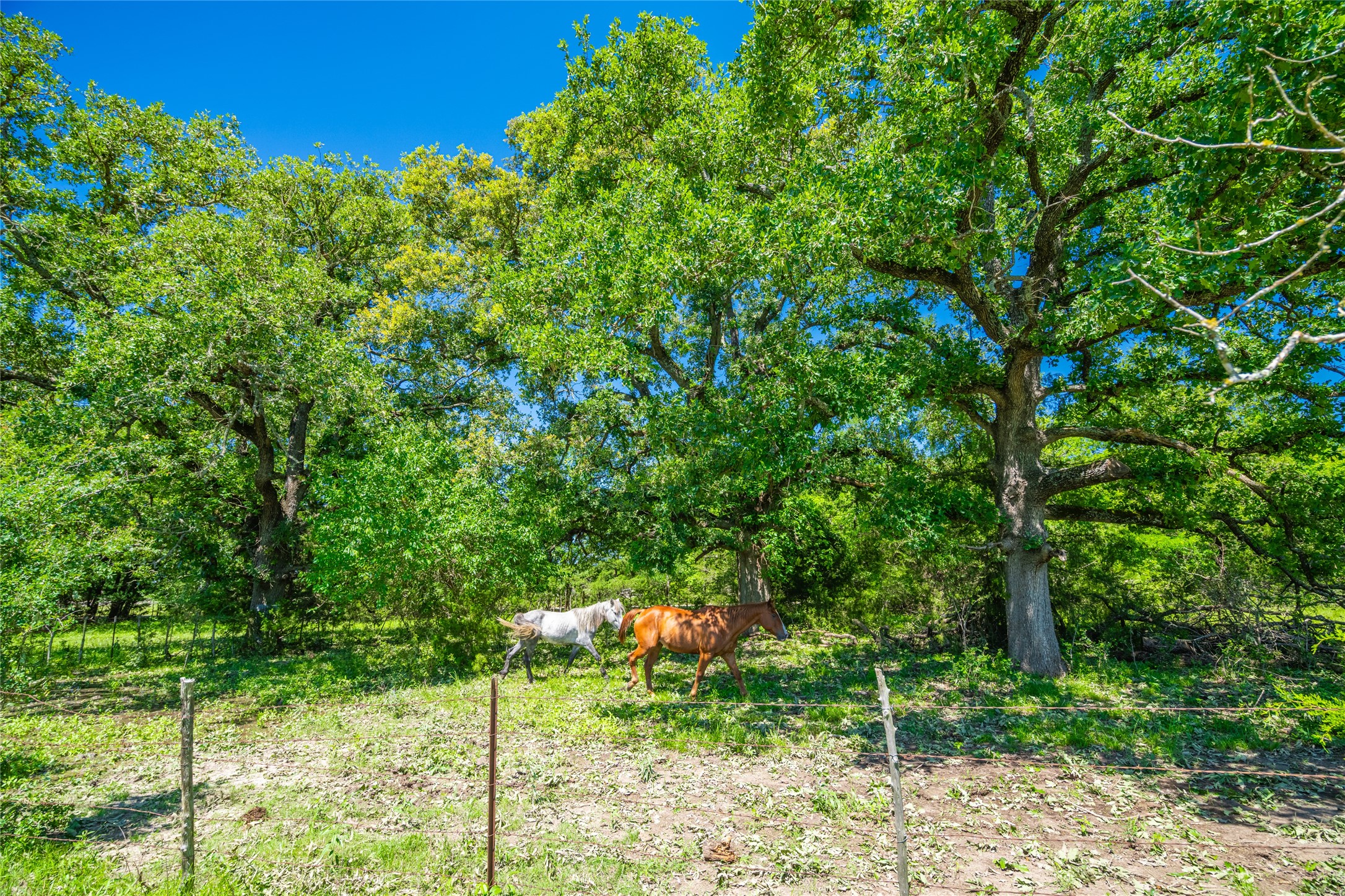 0 Lcr 412 Groesbeck TX 76642