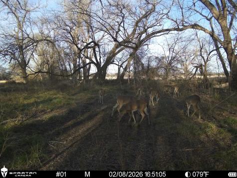 0 Lcr 412 Groesbeck TX 76642