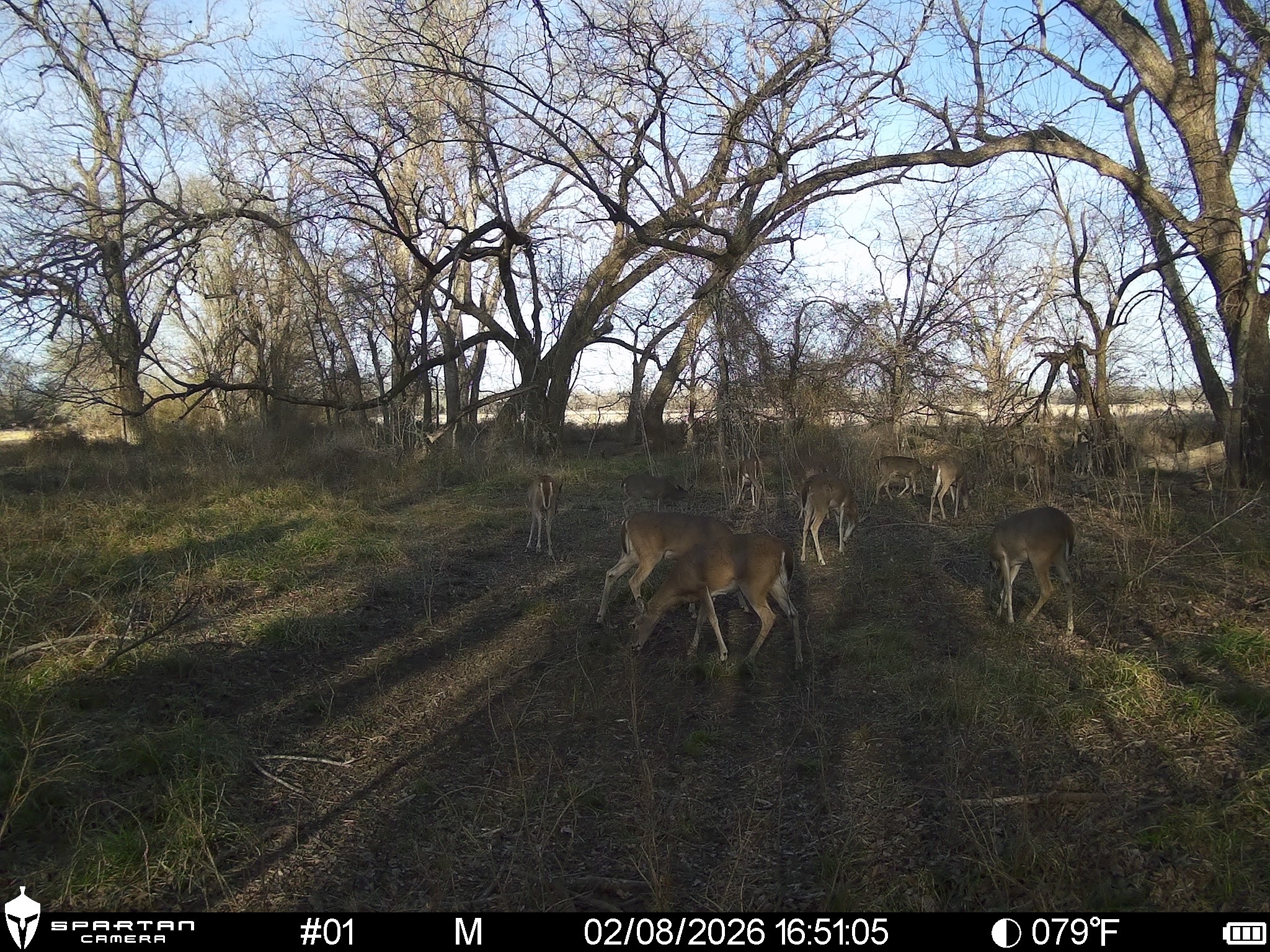 0 Lcr 412 Groesbeck TX 76642