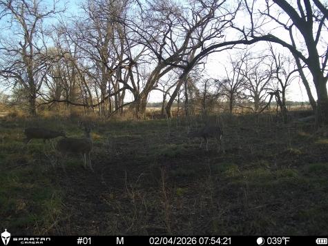 0 Lcr 412 Groesbeck TX 76642