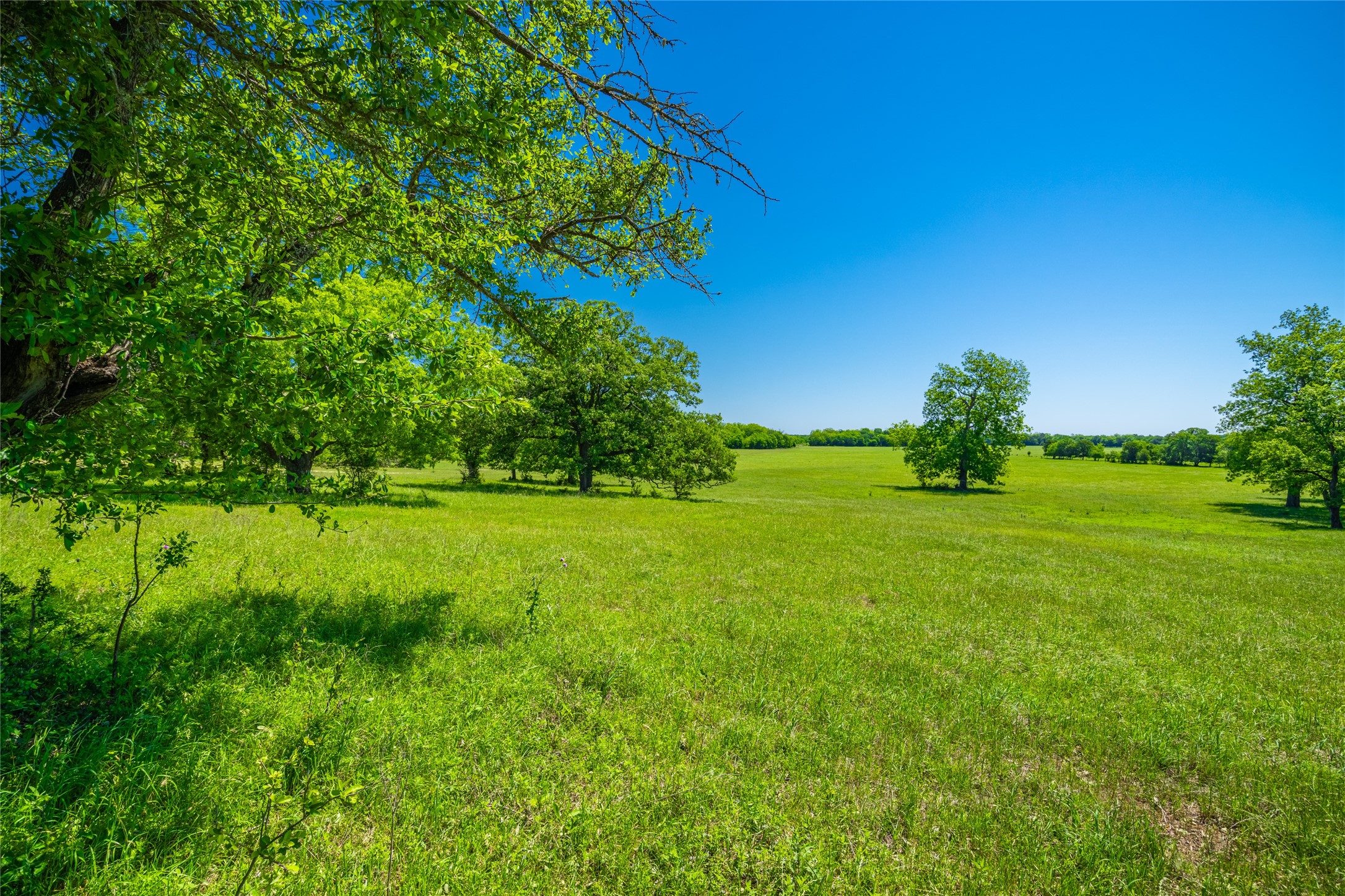0 Lcr 412 Groesbeck TX 76642
