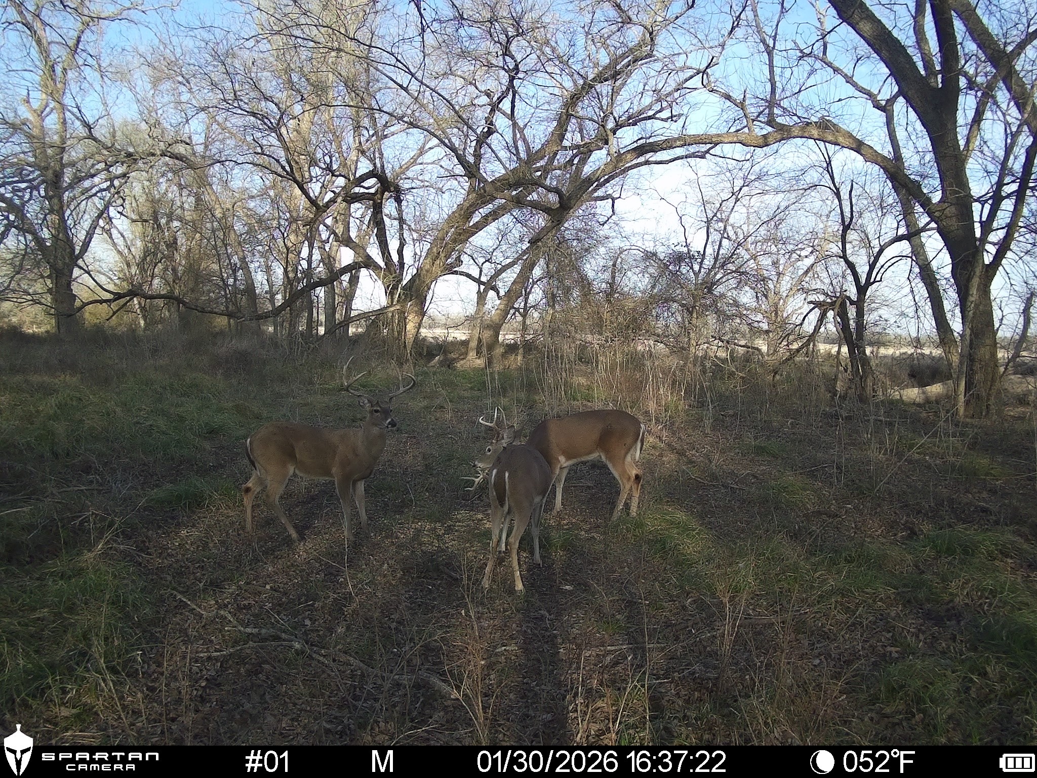 0 Lcr 412 Groesbeck TX 76642