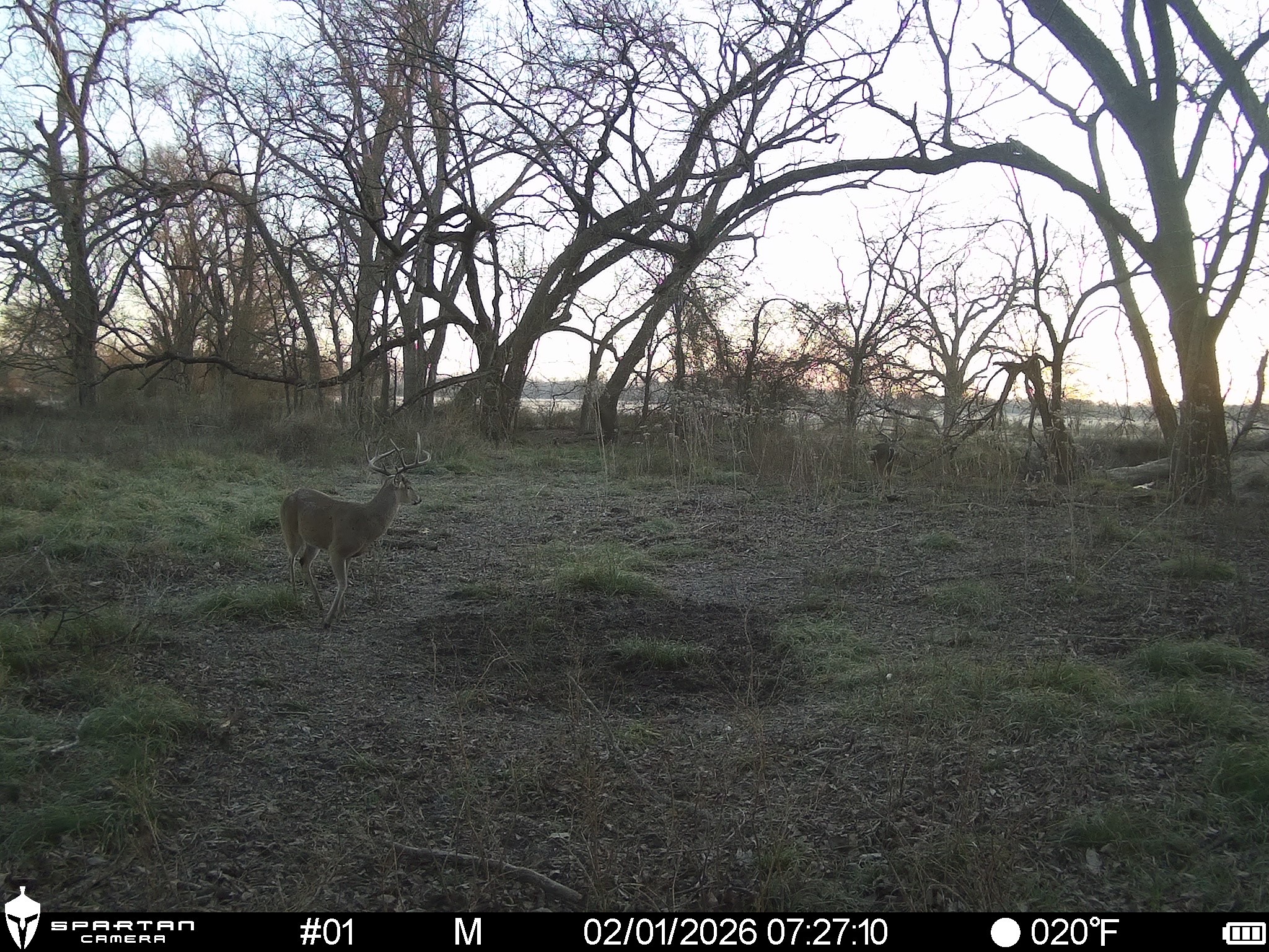 0 Lcr 412 Groesbeck TX 76642