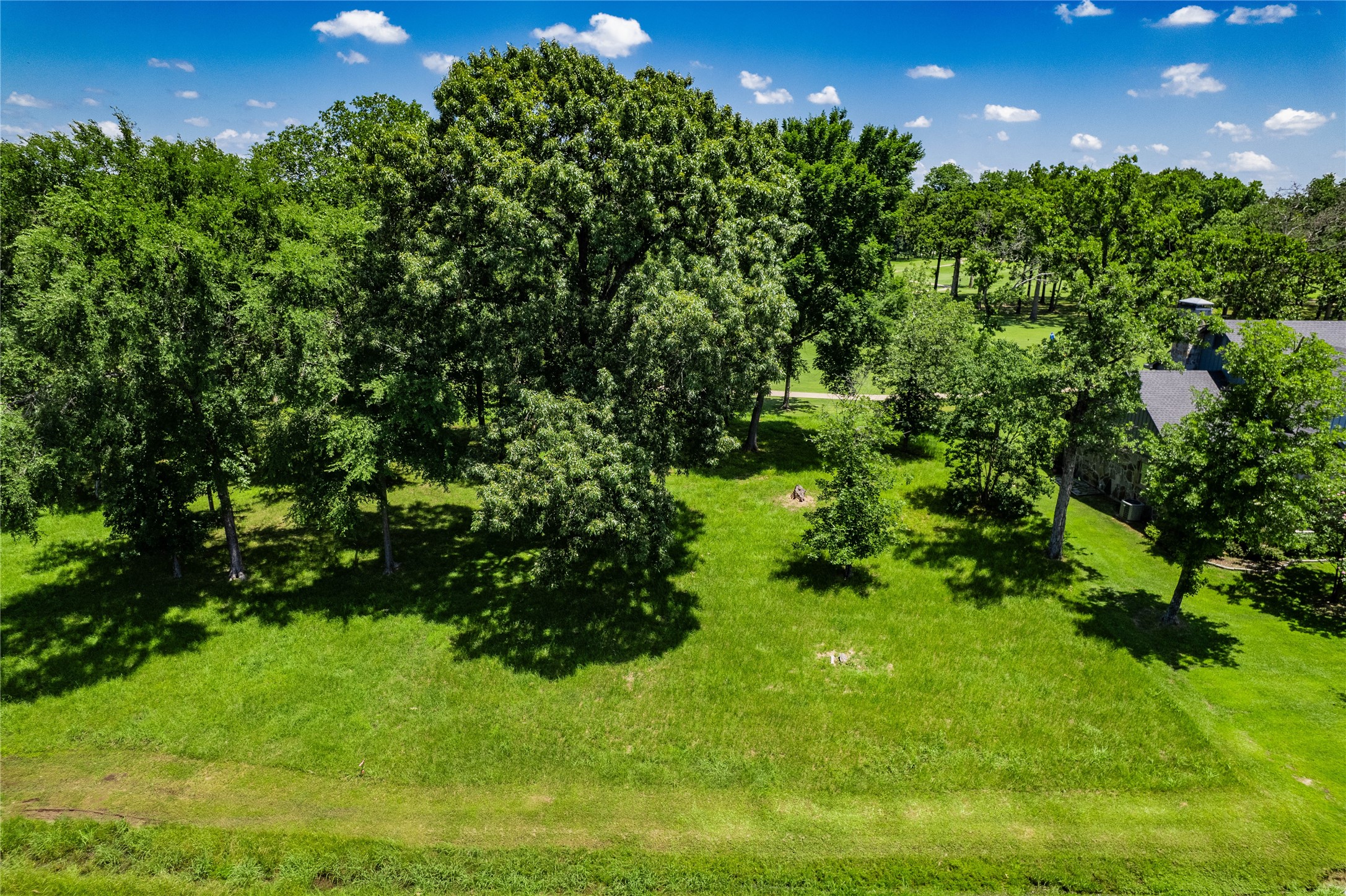 321 Saint Andrews Drive Mabank TX 75156