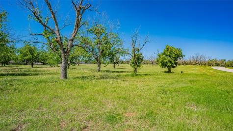 8433 W Landings Road Granbury TX 76049