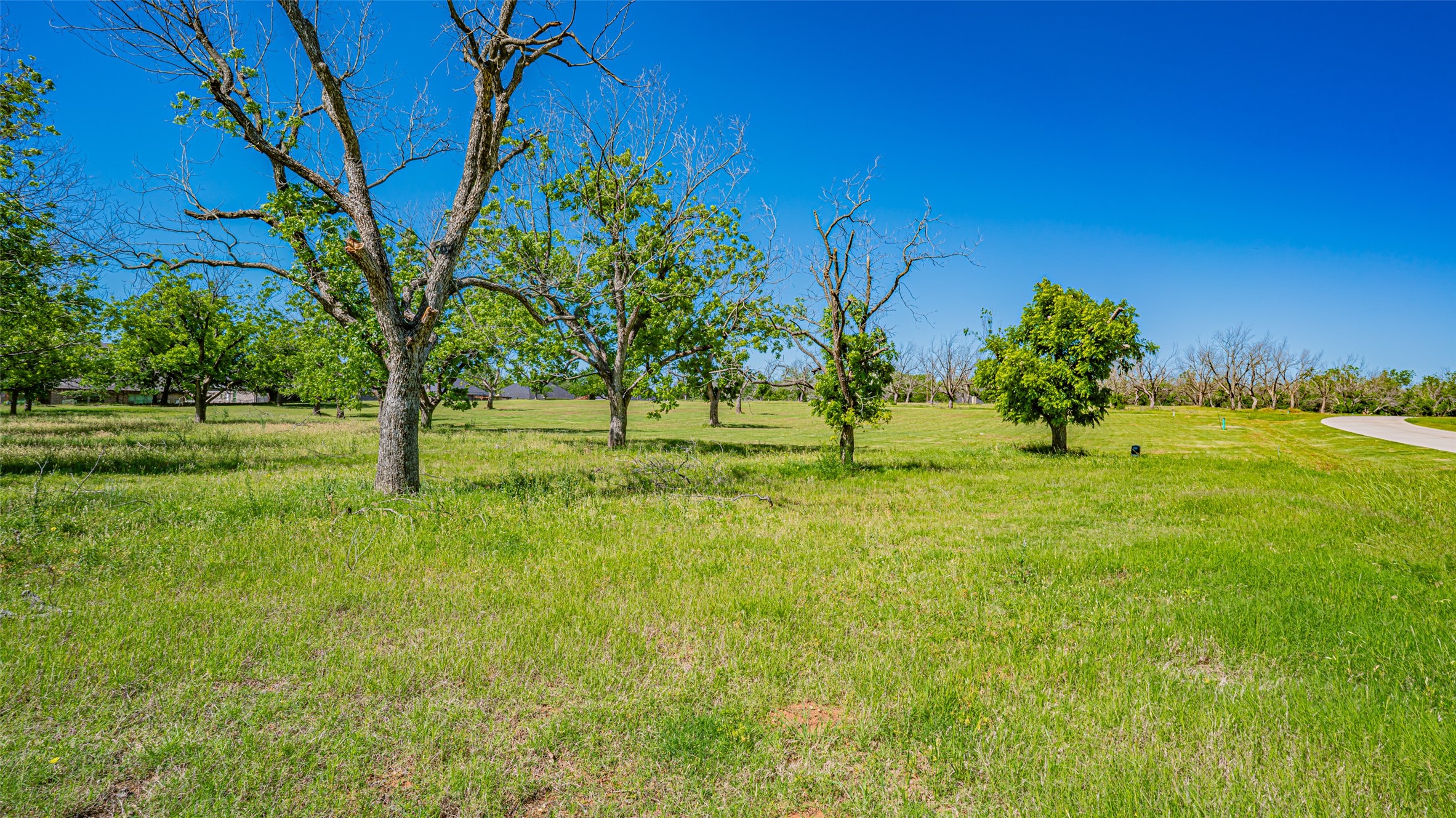 8433 W Landings Road Granbury TX 76049