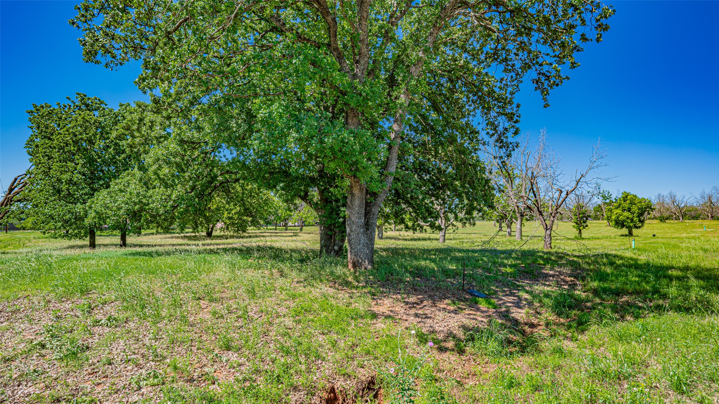 8433 W Landings Road Granbury TX 76049