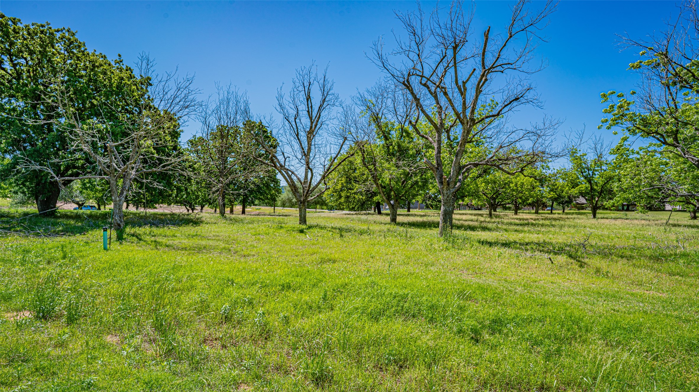 8433 W Landings Road Granbury TX 76049