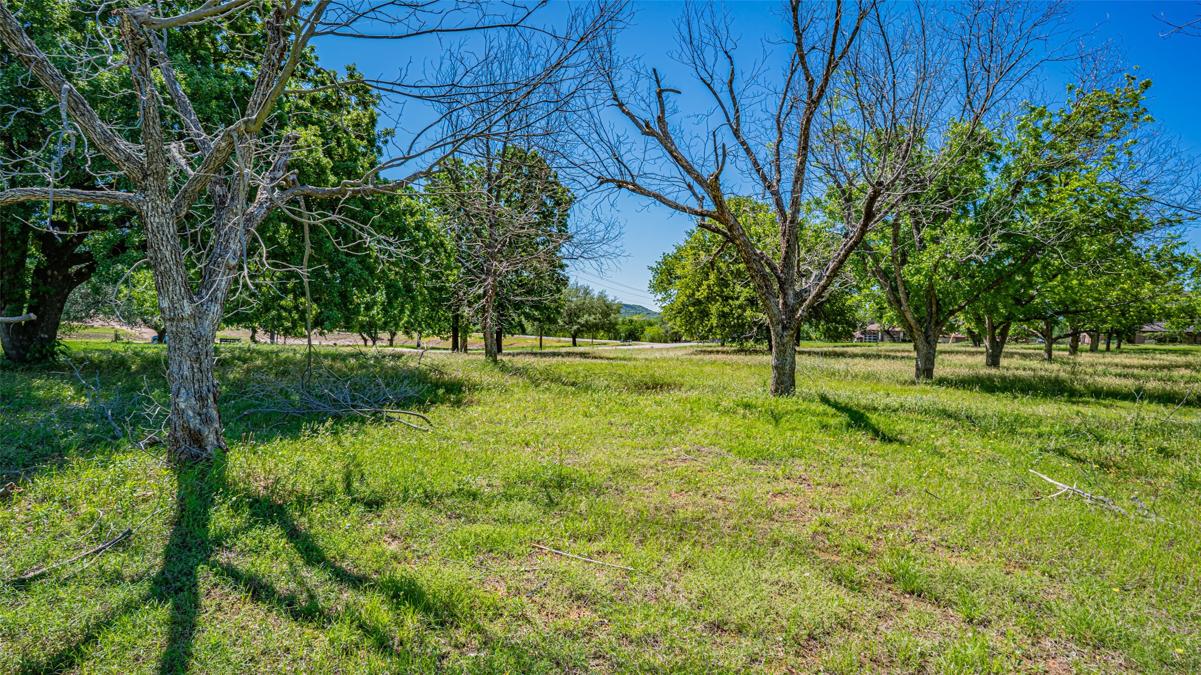 8433 W Landings Road Granbury TX 76049