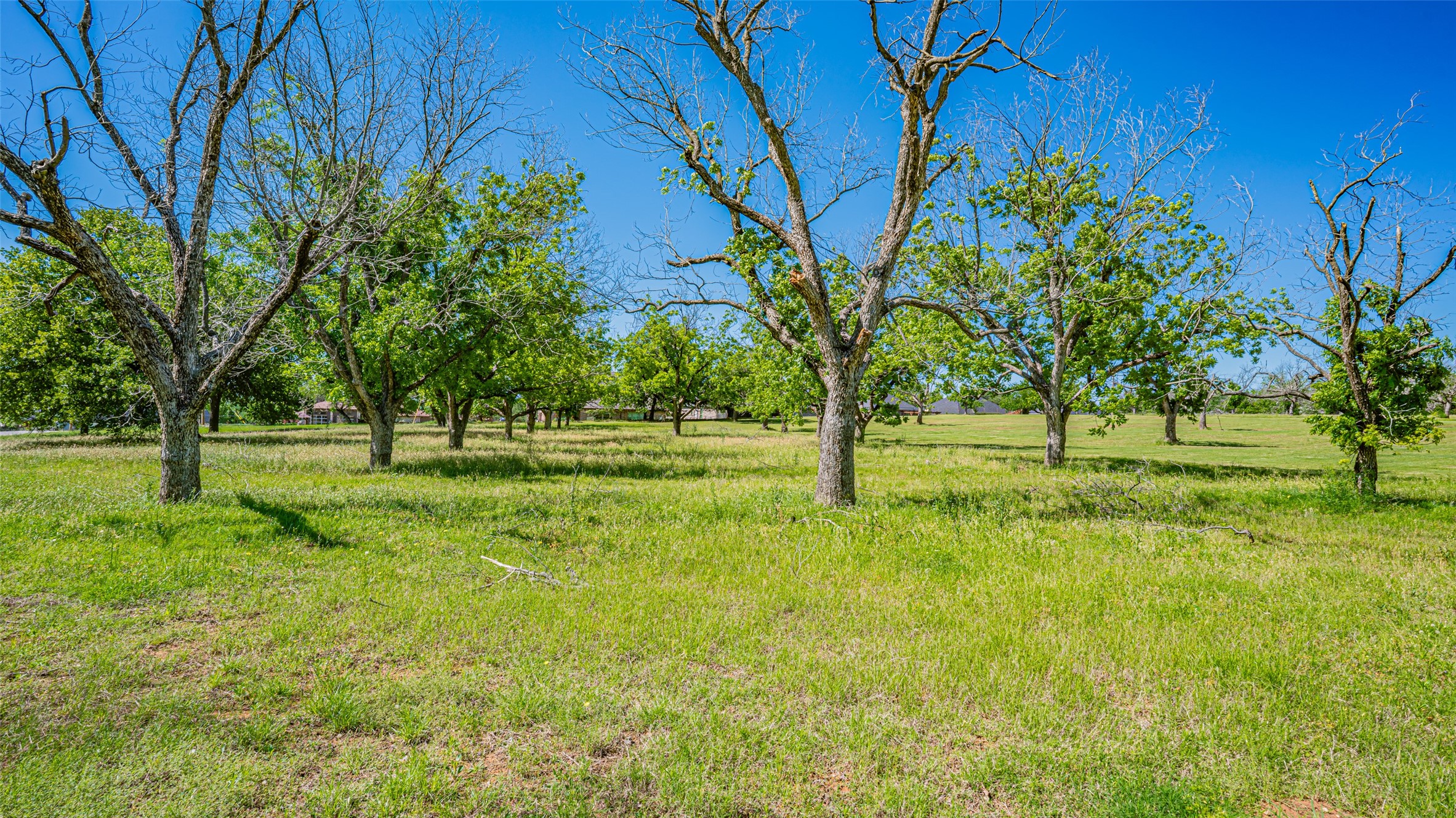 8433 W Landings Road Granbury TX 76049
